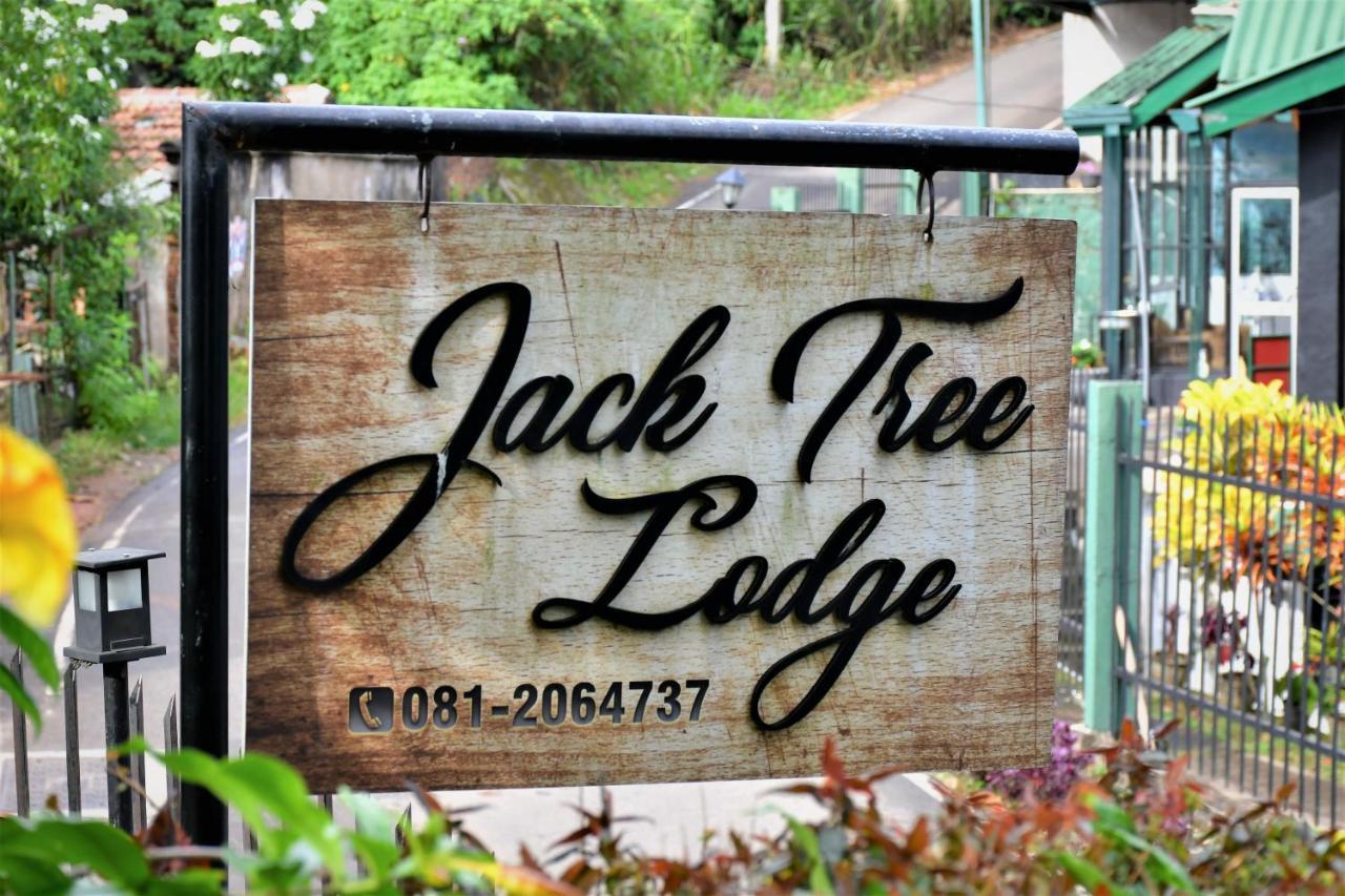 Jack Tree Lodge Κάντι Εξωτερικό φωτογραφία