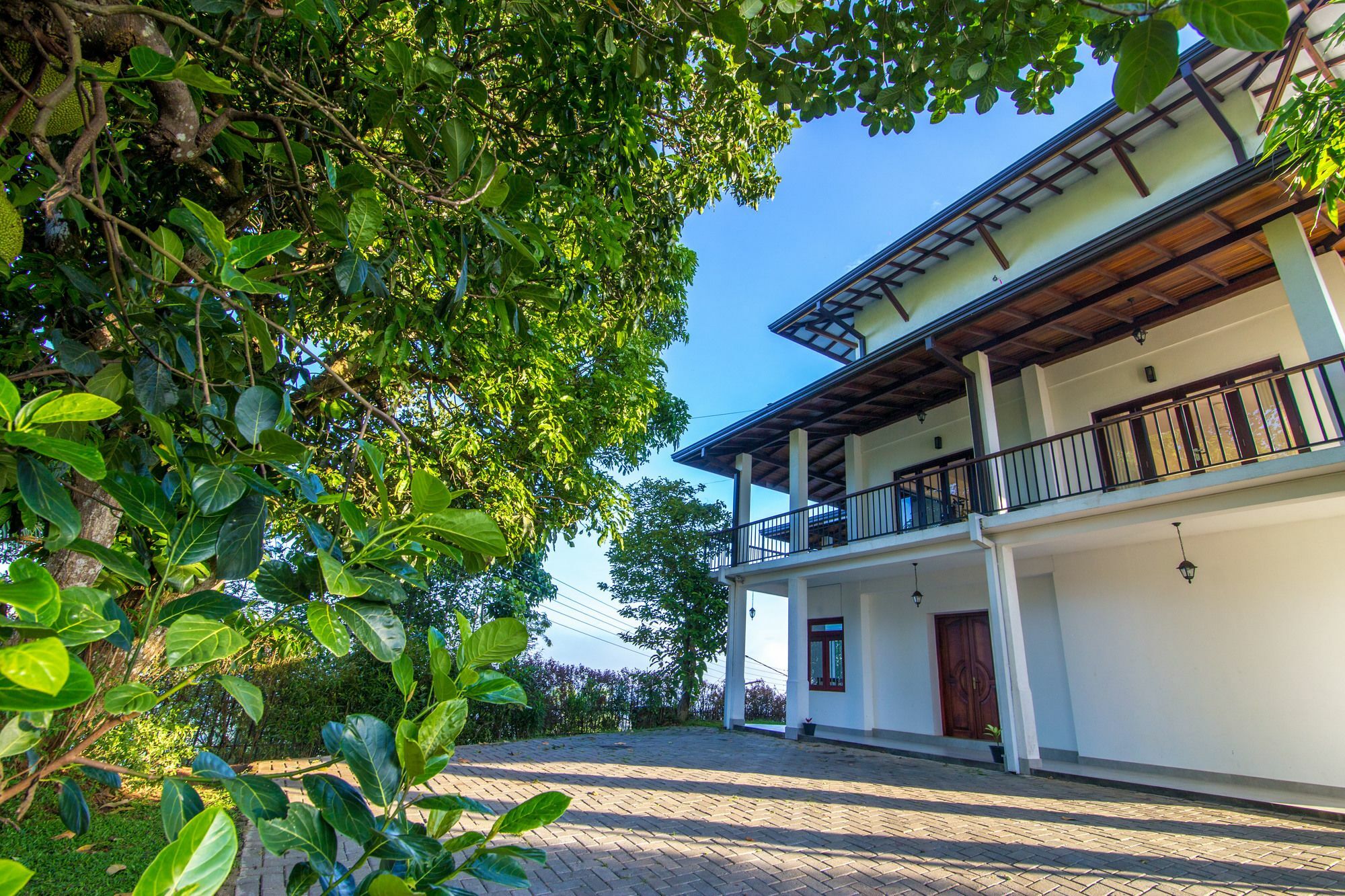 Jack Tree Lodge Κάντι Εξωτερικό φωτογραφία