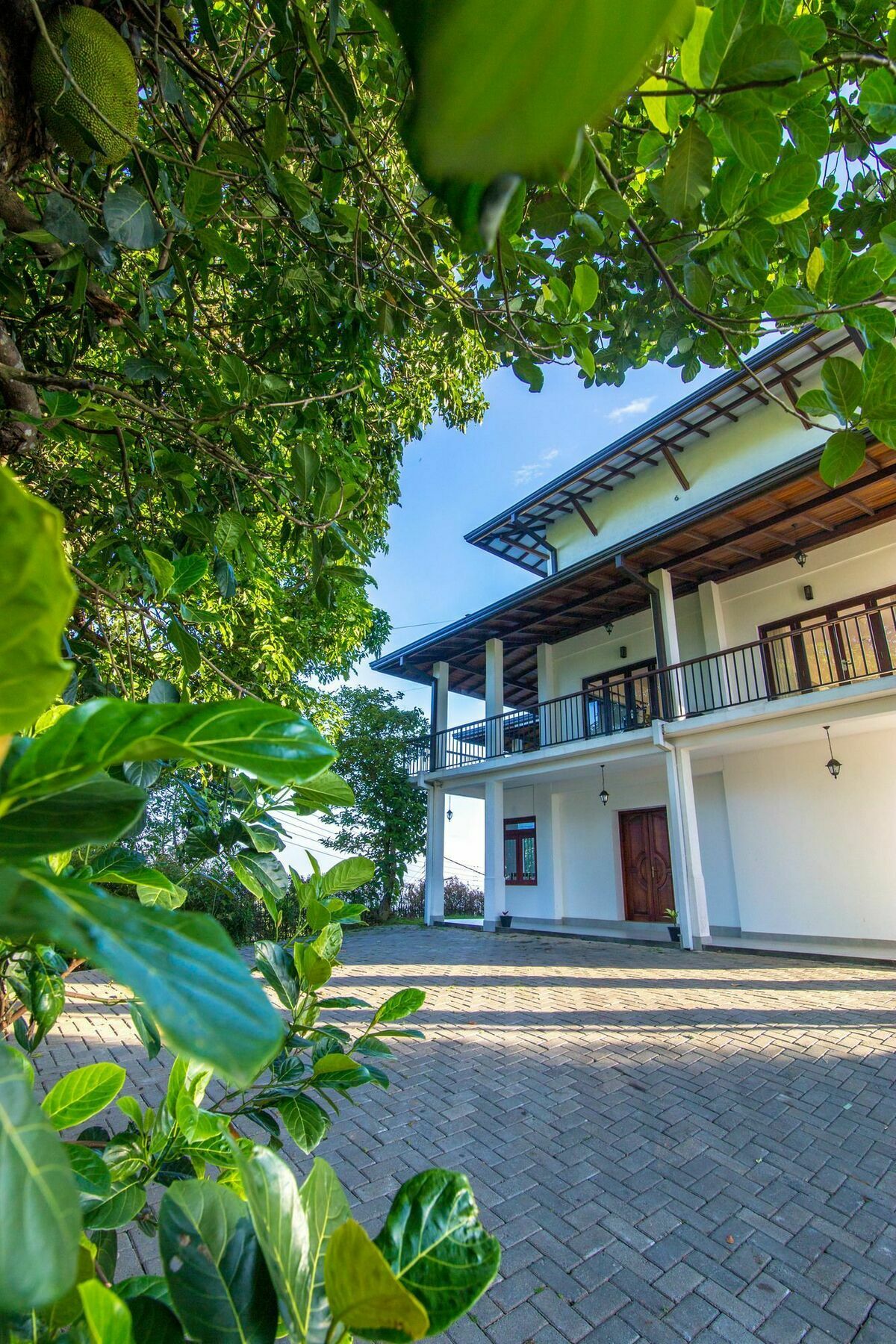 Jack Tree Lodge Κάντι Εξωτερικό φωτογραφία